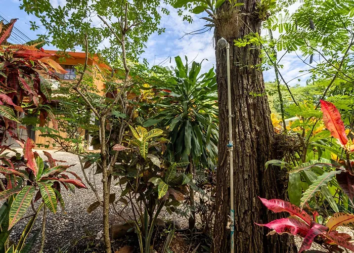 Casa Playa Avellanas *